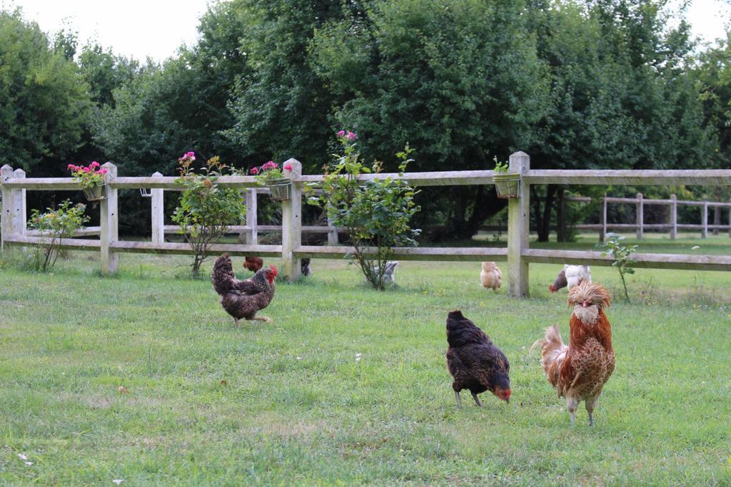 Gite De Cray Lussault-sur-Loire 外观 照片